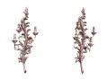 A Pair of Italian Carved Wall Lights