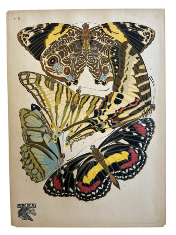 Butterfly Pochoir Plate 5