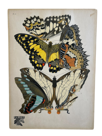Butterfly Pochoir Plate 9
