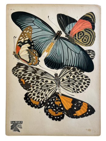 Framed Butterly Pochoir Plate 11