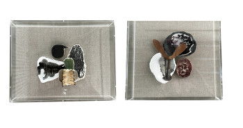 Framed Pair Habitat #5 & Habitat #6