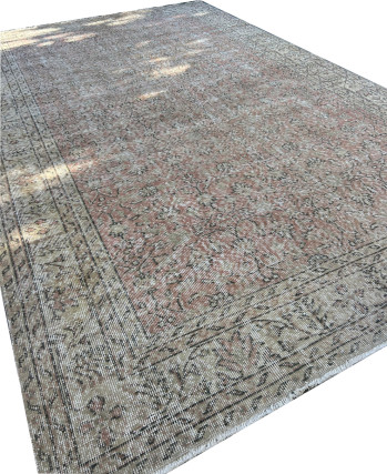 Eloise Area Rug