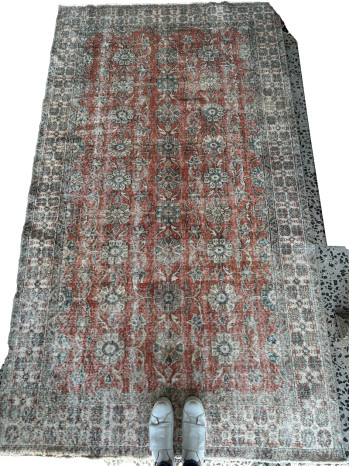 Jess Area Rug