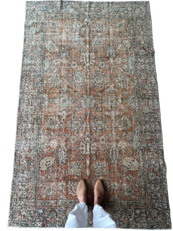 Lottie Area Rug