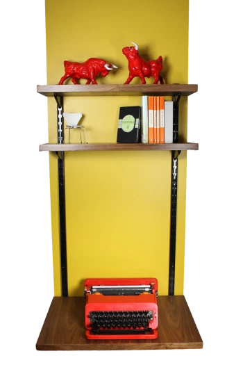 Wallhung Bookcase and Desk Unit