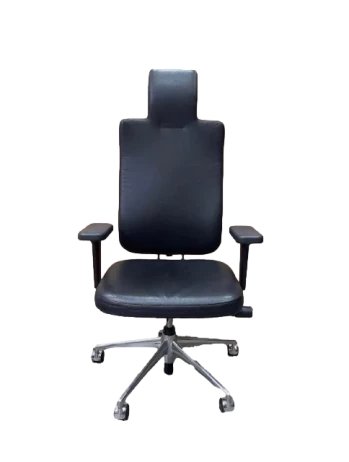 Headline Executive Office Chair