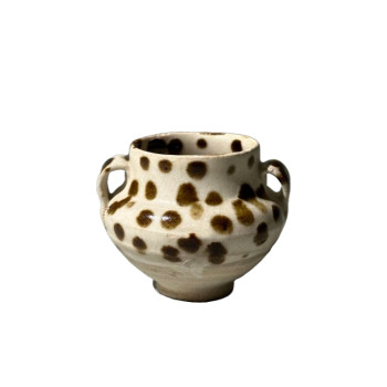 Iron Spotted Cizhou Jarlet