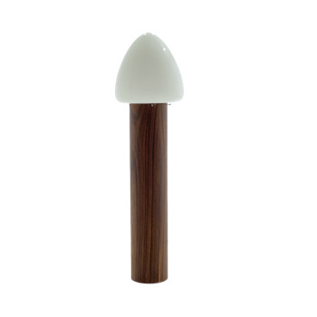 1960s Brazilian Floor Lamp