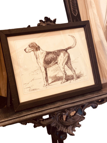 Hunting Dog Artworks