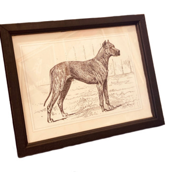 Hunting Dog Artworks